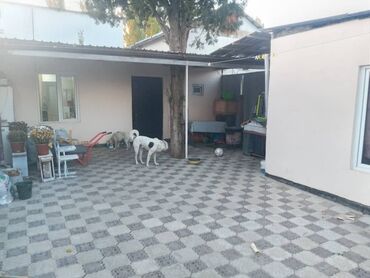 Продажа домов: Барачный, 58 м², 3 комнаты, Собственник, Косметический ремонт — 2