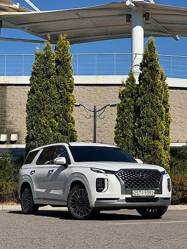 v klass: Hyundai Palisade: 2020 г., 2.2 л, Автомат, Дизель, Кроссовер — 3