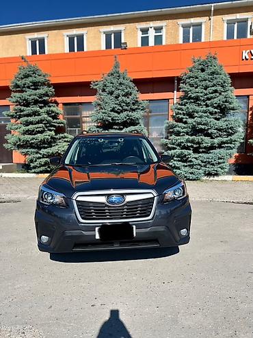 Subaru: Subaru Forester: 2019 г., Вариатор, Бензин, Кроссовер — 1