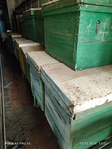 Другие хозтовары: ПРОДАМ Пчелопавилион. Нуклеусы. Лежаки. Медогонку Грановского at lalafo.kg — 3 Другие хозтовары: ПРОДАМ Пчелопавилион. Нуклеусы. Лежаки. Медогонку Грановского — 3