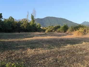 boş torpaq: 21 sot, Tikinti, Mülkiyyətçi, Kupça (Çıxarış) — 1