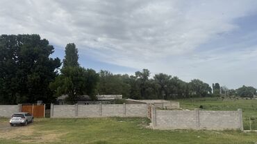 Сельхоз предприятия: Продаю Кошара, 100 соток, Действующий, Скважина, Холодная вода, Электричество — 6