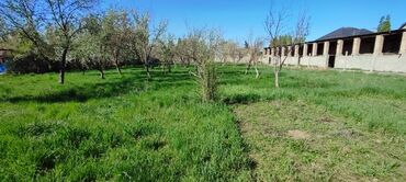 продажа дом манас: 22 соток, Для строительства, Красная книга, Тех паспорт