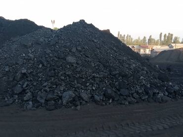 набор куличи: Көмүр Акылуу жеткирүү
