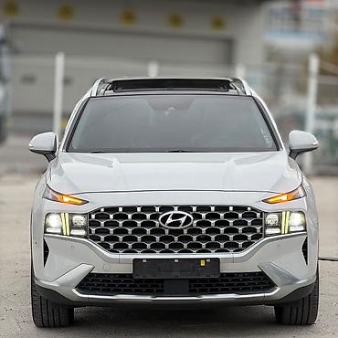 hyun: Hyundai Santa Fe: 2020 г. — 1