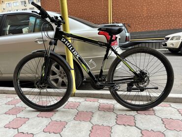 сумка мужская спортивная маленькая: Продаю велосипед Philips. Рама-19, Колеса-27,5. Рама алюминиевая