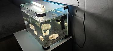 Akvariumlar: Dördbucaq akvarium, Boş, 33 l, Ünvandan götürmə — 3