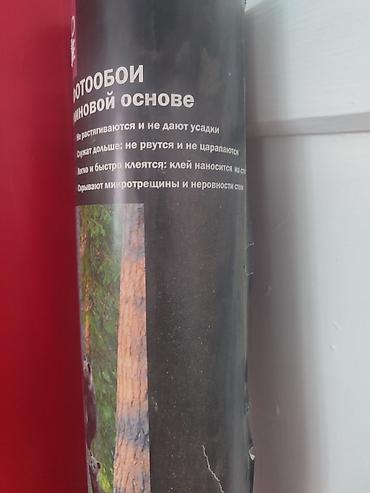 фото можно: Фотообои на стену: высота 280 см; ширина 210 см. P.S. за две копейки — 4