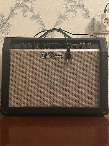 Tsangsheng TS GT-40 gitara gücləndiricisi - Model: TS GT-40 -