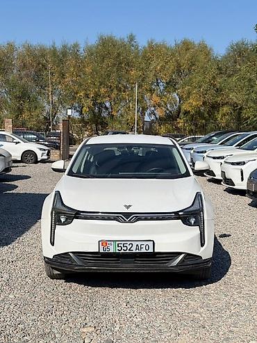 BYD : 2023 г., Автомат, Электромобиль, Кроссовер