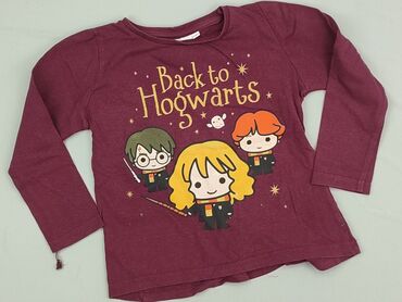 bluzka z kołnierzykiem: Bluzka, Harry Potter, 4-5 lat, 104-110 cm, stan - Bardzo dobry