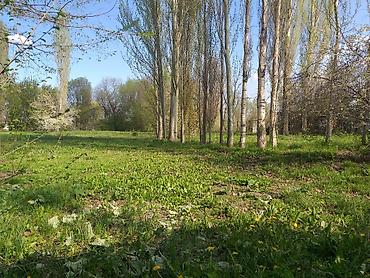Продажа коттеджей и домов: Продаю дом Московский раион Беловодское с Сретенка ул Ленина 92 рядом — 9