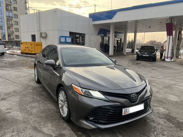 Toyota: Toyota Camry: 2018 г., 2.5 л, Автомат, Гибрид, Седан