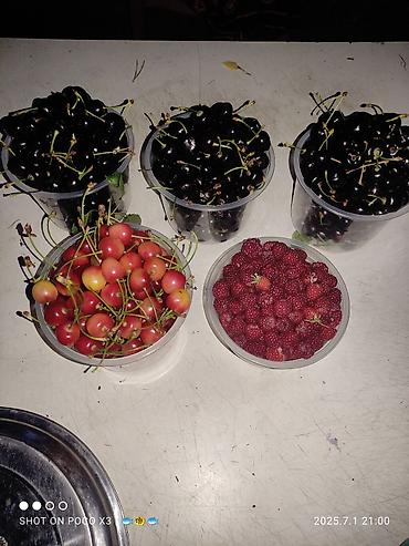 Продажа коттеджей и домов: Дом в ЧолпонАте р-он Хутор на участке более 10соток Продажа, два дома — 11