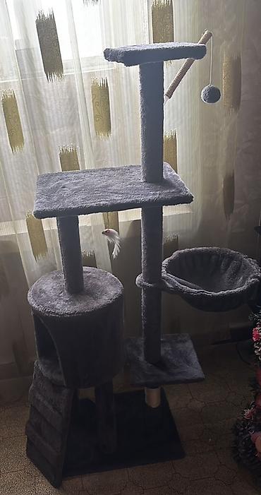 toy pudrl: Məhsul: Pişiklər üçün aksesuar və oyuncaq seti Tərkib: - Yumşaq plyuş — 2