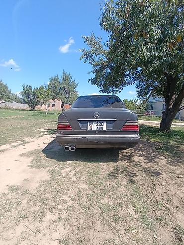 e60 m5: Mercedes-Benz E-Class: 1994 г., 2.2 л, Механика, Бензин, Седан — 5