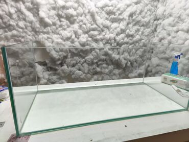 купить аквариум: Boş, 200 l, Ünvandan götürmə, Pulsuz çatdırılma, Ödənişli çatdırılma