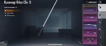 (33 kol,51 səviyyə(PUBG Mobile hesabı – Temalı vitrin və nadir — 3