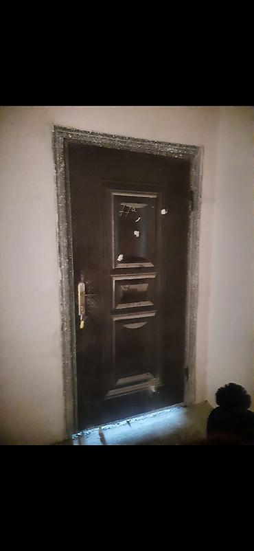 Metal giriş qapısı - Material: möhkəm metal konstruksiya - Rəng və