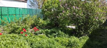 Продажа участков: 5 соток, Для строительства — 5