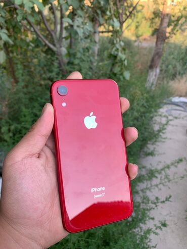 цена айфон хр в бишкеке: IPhone Xr, Колдонулган, 64 ГБ, Кызыл, Каптама, 77 %