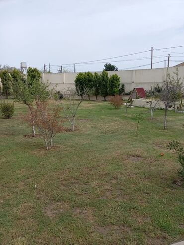 nardaranda ucuz heyet evleri: Nardaran qəs. 5 otaqlı, 200 kv. m, Kredit yoxdur, Yeni təmirli