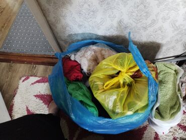 Находки, отдам даром: Отдам даром 4 гор боль
