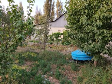 Продажа домов: Дом, 1200 м², 5 комнат, Собственник, Косметический ремонт