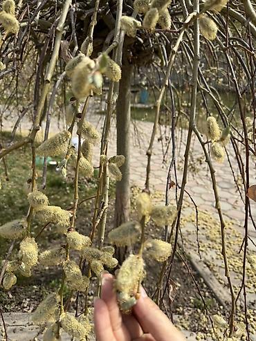 Продажа коттеджей и домов: Продаётся двухэтажный коттедж с мансардой в ЦО «Кесар» (город — 27