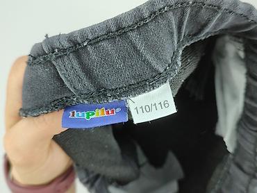 bluza bdf: Spodnie jeansowe, Lupilu, 5-6 lat, 110/116, stan - Bardzo dobry — 4