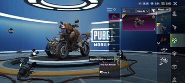 Digər: PUBG Mobile hesabı – zəngin kosmetik kolleksiya - X-Suit — 23