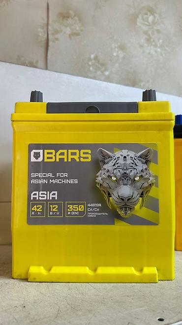 аккумулятор барс: Автомобильный аккумулятор BARS ASIA 42 А·ч - Серия: SPECIAL FOR ASIAN — 1