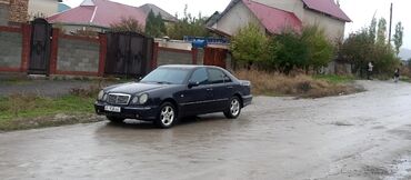 Mercedes-Benz: Mercedes-Benz E-Class: 1996 г., 4.2 л, Автомат, Бензин, Седан