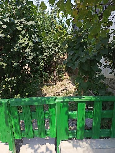 Qonaq otağı dəstləri: -şabranda gülemlide 9 sotda heyetde 2 ev biri 3 otaqlı super remont -da lalafo.az — 40 Qonaq otağı dəstləri: -şabranda gülemlide 9 sotda heyetde 2 ev biri 3 otaqlı super remont — 40