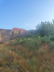 Bağ və bostan üçün digər məhsullar: Qobuda arkodan 1km metir məsafədə asvaltdan 20 metir içəridir 8 — 10