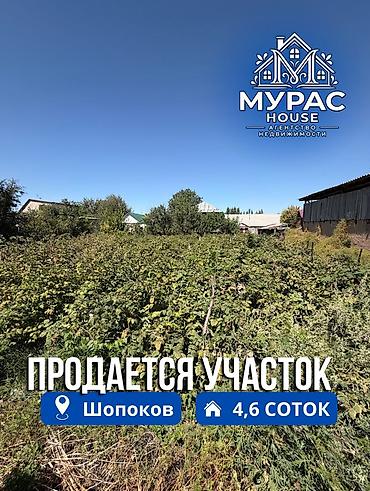 воост: 4 соток — 1