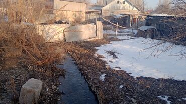 Другие комнатные растения: Талас шаары Танабаев 265кочосу техникумдун аркасында жайгашкан — 6