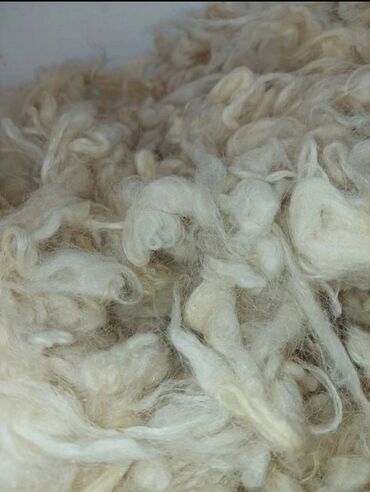 Другой текстиль: Qoyun yunu satılır 1 kiloqramı 2.5 azn. 7-8 ton yun var hazirda topdan
