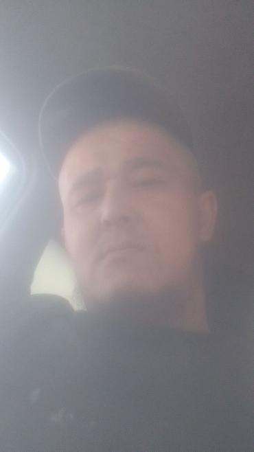 Торцовочные электропилы: Торцовочная пила Metabo - Тип: стационарная торцовочная пила по — 25