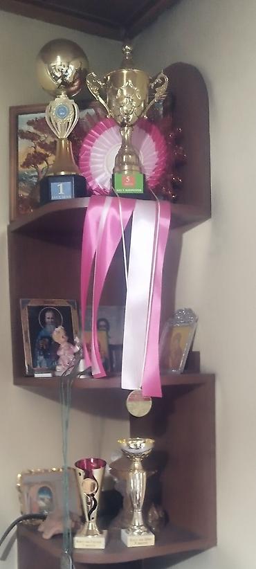 Продажа собак: Алабай, 3 месяца, Самец, С прививкой — 22