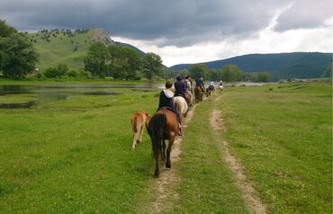 Туристические услуги: Конная прогулка на иссык-куле 🐎 0️⃣5️⃣0️⃣2️⃣3️⃣2️⃣9️⃣4️⃣7️⃣1️⃣☎️ + at lalafo.kg — 11 Туристические услуги: Конная прогулка на иссык-куле 🐎 0️⃣5️⃣0️⃣2️⃣3️⃣2️⃣9️⃣4️⃣7️⃣1️⃣☎️ + — 11