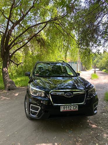 Subaru: Subaru Forester: 2018 г., Вариатор, Кроссовер — 4