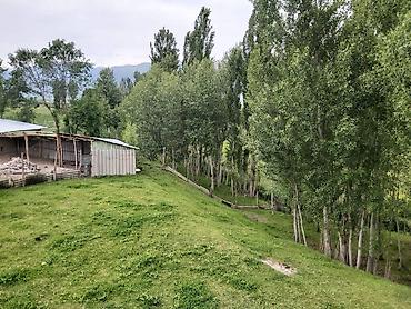 Продажа коттеджей и домов: Продается 5 к большой дом с большим огородом и 2 гектар земельнного — 7