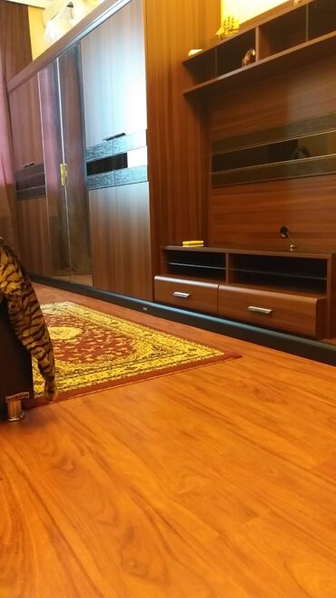 Otaqların uzunmüddətli kirayəsi: Studio tipli, tam mebelləşdirilmiş otaq və mətbəx dəsti. - Otaq — 14