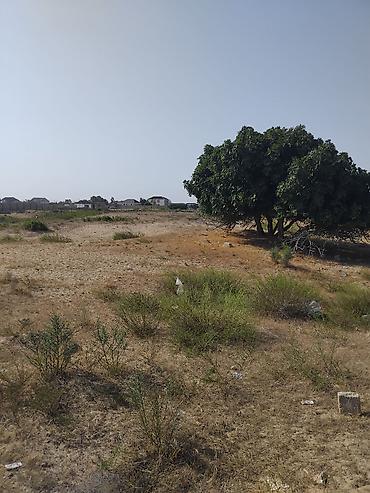 bakıda: Turkan qes.Qizilqumda.denizden 180 metr arali.Denize panarama goruntu — 3