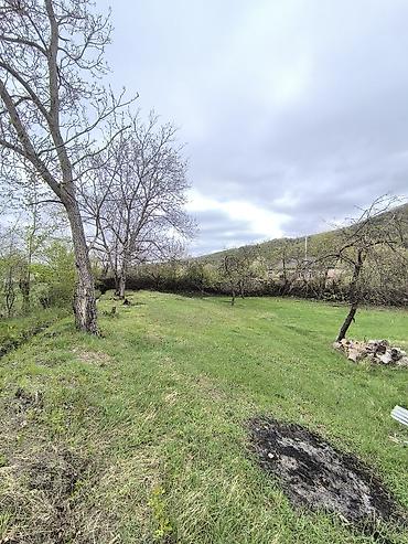 şahdag nabran: 6 sot, Tikinti, Mülkiyyətçi, Kupça (Çıxarış) — 6