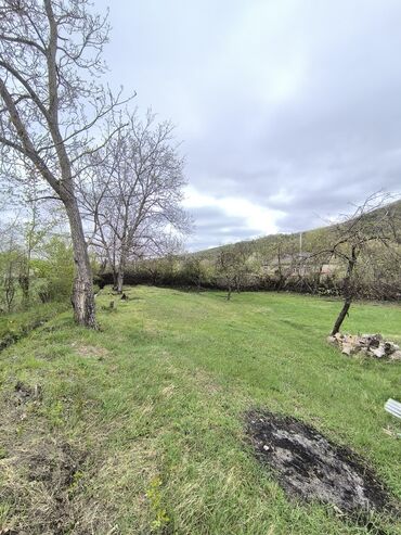 Torpaq sahələrinin satışı: 11 sot, Tikinti, Mülkiyyətçi, Kupça (Çıxarış) -da lalafo.az — 12 Torpaq sahələrinin satışı: 11 sot, Tikinti, Mülkiyyətçi, Kupça (Çıxarış) — 12