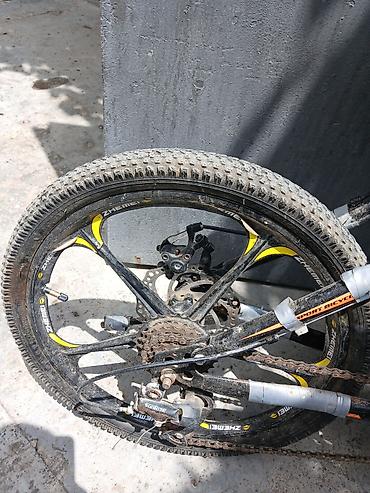 grand bicycle: Dağ/şosse üçün universal velosiped - Brend nişanları: Adidas temalı — 3