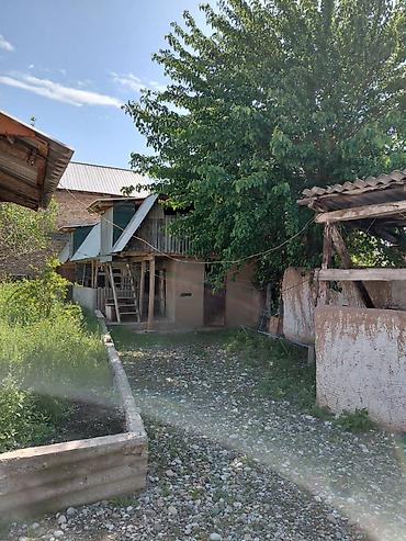 Продажа коттеджей и домов: Продается дом с приусадебным участком и хозяйственными постройками — 3