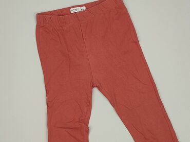 mango legginsy z zapiętkami: Legginsy, Fox&Bunny, 12-18 miesięcy, stan - Bardzo dobry